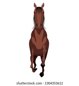 32,931 Horse in front Images, Stock Photos & Vectors | Shutterstock