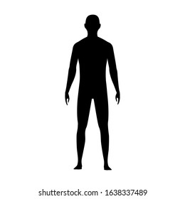 Front view human body silhouette of an adult male.