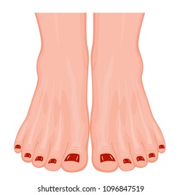Front view of a human feet with colored toenails. Vector illustration for advertising, medical (health care) publications. EPS 10.
