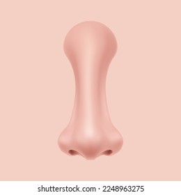 Front view Human Nose on the face realistic Illustration for medicine, Isolated on background Design Vector. Rhinoplasty example. Body part for biology.	