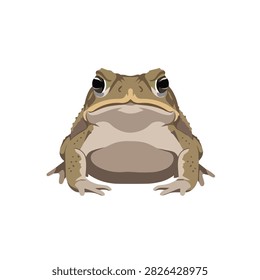 Front View Illustration of a Grumpy Brown Toad Isolated on White Background Vector Art Design