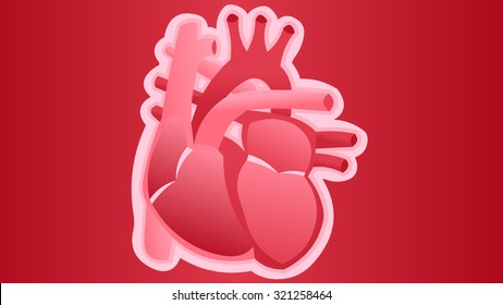 Front view isolated human heart internal organ cartoon illustration object. Template for anatomy poster or hospital health care medical concept advertisement. School biology physiology education class