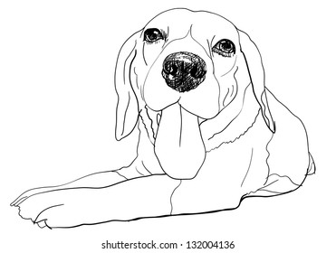 62 Beagle laying down Stock Illustrations, Images & Vectors | Shutterstock