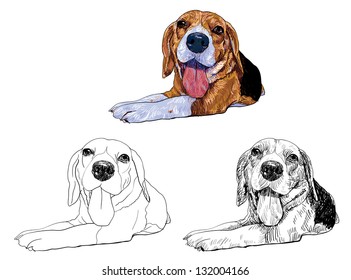 Line Art Dog Laying Down Drawing ~ Drawing