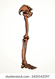 Front view old woman sick injury toe muscl tissue part ache hospital surgery care scan x ray radius white logo Black hand drawn femal upper fibular ankle injur medic xray ill pain exam line sketch art