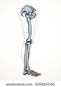 Front view old woman sick injury toe muscl tissue part ache hospital surgery care scan x ray radius white logo Black hand drawn femal upper fibular ankle injur medic xray ill pain exam line sketch art