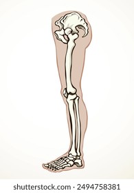 Front view old woman sick injury toe muscl tissue part ache hospital surgery care scan x ray radius white logo Black hand drawn femal upper fibular ankle injur medic xray ill pain exam line sketch art
