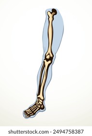 Front view old woman sick injury toe muscl tissue part ache hospital surgery care scan x ray radius white logo Black hand drawn femal upper fibular ankle injur medic xray ill pain exam line sketch art