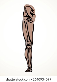 Front view old woman sick injury toe muscl tissue part ache hospital surgery care scan x ray radius white logo Black hand drawn femal upper fibular ankle injur medic xray ill pain exam line sketch art