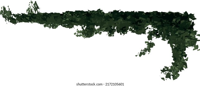 Front view of Plant (creeper 1) Tree  illustration vector	