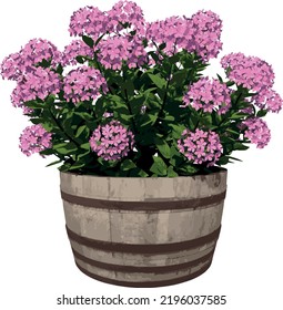 Vista frontal de la flor vegetal (Flowerpot Vase con hidrangea 1) Vector de ilustración del árbol
