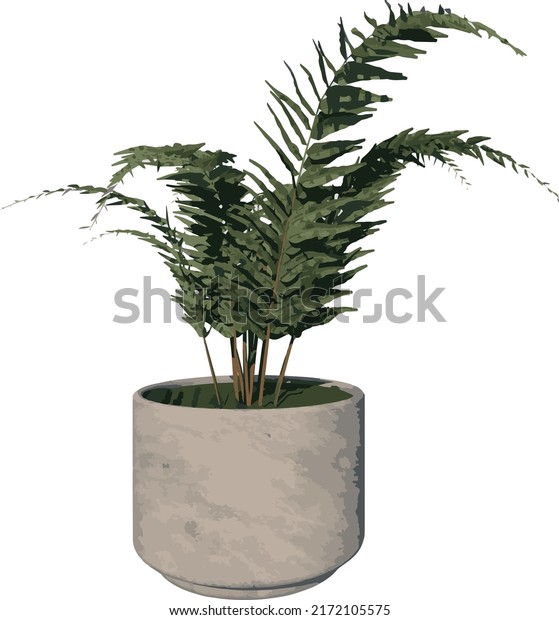 Front View Plant Helecho Filicopsida Pot: เวกเตอร์สต็อก (ปลอดค่า ...