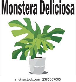 Front view of Plant (Monstera deliciosa in pots 1) Tree illustration vector