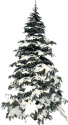 Front View Of Plant (Pine Snowy Tree Winter 1) Tree Illustration Vector