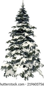 Front view of Plant (Pine Snowy Tree Winter 1) Tree illustration vector