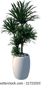 Front view of Plant (Potted Vase with Indoor Plant 5) Tree illustration vector	