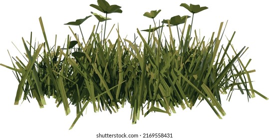 Front view of Plant ( Yellow Flowers Lawn 1a) Tree png illustration vector	