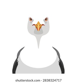 Front view portrait of a seagull bird illustration isolated on white background