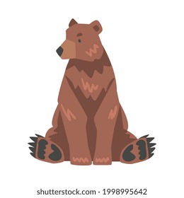 Front View of Sitting Brown Bear, Large Wild Predator Mammal Animal Cartoon Vector Illustration