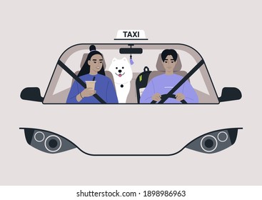 A Front View Of A Taxi Cab, A Driver And A Passenger On A Front Seat With A Dog On A Backseat, Urban Lifestyle