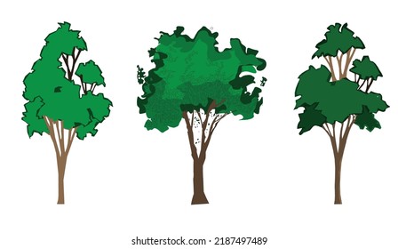 Front view tree symbols set