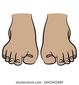 Front view of two bare human feet. Cartoon style.