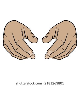 Front view of two human hands. Cartoon style.