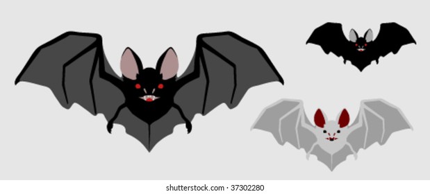 Front view vector bat illustration, several color variants