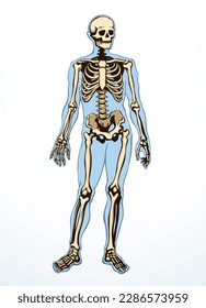 Front view white old part arm leg foot hip pelvis torso thorax care scan x ray film death logo set. Hand drawn line xray dead spinal cage column injury ill pain exam vintage outline sketch art cartoon