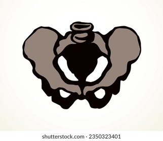 Front view white old sick iliac torso column pubic crest part leg femoral ache therapy scan x ray injury surgery logo. Hand drawn black medic xray spinal ill pain exam diagram line cartoon sketch art