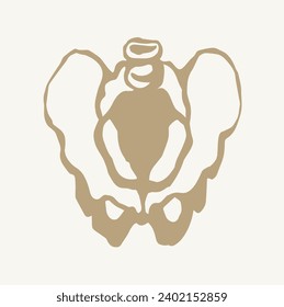 Front view white old sick iliac torso column pubic crest part leg femoral ache therapy scan x ray injury surgery logo. Hand drawn black medic xray spinal ill pain exam diagram line cartoon sketch art