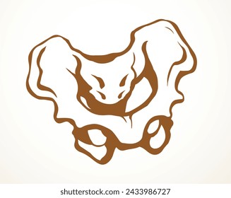 Front view white old sick iliac torso column pubic crest part leg femoral ache therapy scan x ray injury surgery logo. Hand drawn black medic xray spinal ill pain exam diagram line cartoon sketch art