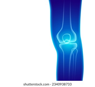 Front view of the Xray of the leg and knee bones. illustration EPS file.