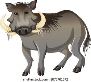 Front of wild boar in standing position on white background illustration