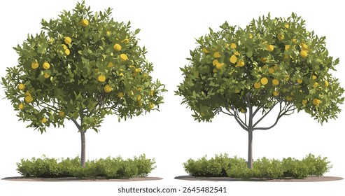 Recorte isolado frontal Maclura pomifera árvores, variedade de laranja Osage, ilustração vetorial detalhada, ativo de planejamento de jardim, biblioteca de plantas ornamentais, gráfico de arquitetura paisagística.
