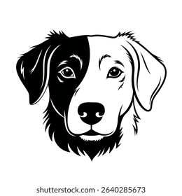 Frontal view of a Border Collie's head, rendered in bold black and white.