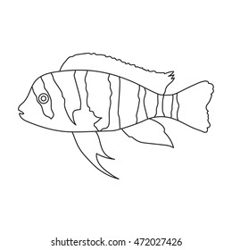 Frontosa Cichlid Cyphotilapia Frontosa Fish Icon Stock Vector (Royalty ...