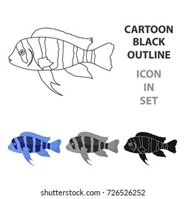 Frontosa Cichlid (Cyphotilapia Frontosa) fish icon cartoon. Singe aquarium fish icon from the sea,ocean life cartoon.