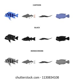 Frontosa, cichlid, phractocephalus hemioliopterus.Fish set collection icons in cartoon,black,monochrome style vector symbol stock illustration web.