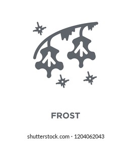 Frost icon. Frost design concept from  collection. Simple element vector illustration on white background.