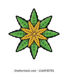 Frosted Cannabis logo icon vector