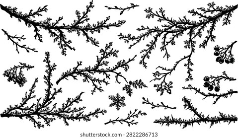 Frosted winter tree branches silhouette set with icy twigs frozen berries thorns and snowflake black and white vector illustration