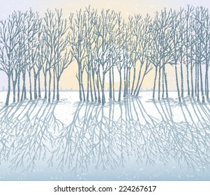 Frosty day