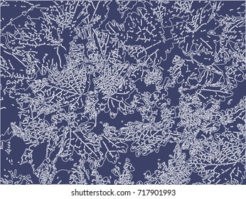 frosty leaf pattern for your creativity