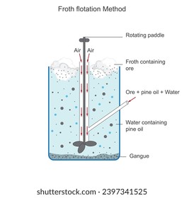 
Froth flotation, a mineral separation technique, relies on the selective attachment of air bubbles to hydrophobic particles, lifting them to the surface for collection. Metallurgy concept.






