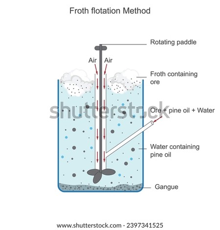 
Froth flotation, a mineral separation technique, relies on the selective attachment of air bubbles to hydrophobic particles, lifting them to the surface for collection. Metallurgy concept.





