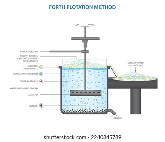 Froth flotation, separation of particle operation process. Froth flotation is a process for selectively separating hydrophobic materials from hydrophilic. Froth flotation process for the sulphide ore