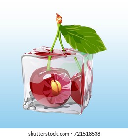 Frozen cherry in an ice cube cartoon. Vector illustration