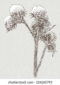 frozen flower