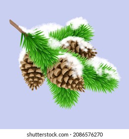 Frozen Green Pine Branche in the Snow with Three Pine Cones. Design Element for Christmas Cards on Violet Background